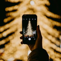 Wo steht der größte Weihnachtsbaum?