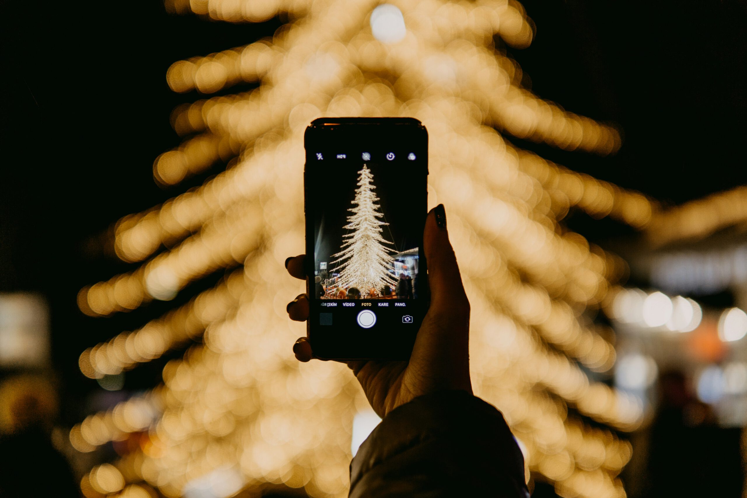 Wo steht der größte Weihnachtsbaum?